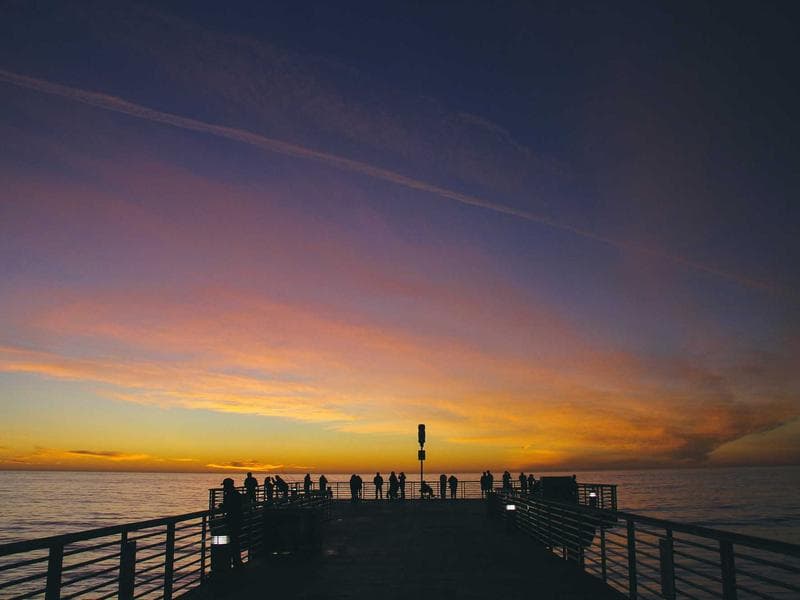 Full-service grooming with premium products