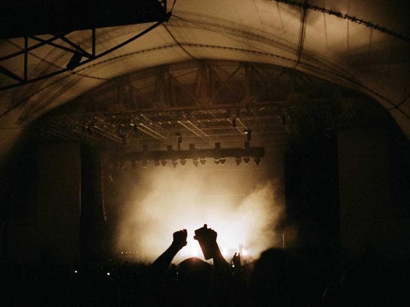 AC kennels with individual climate control