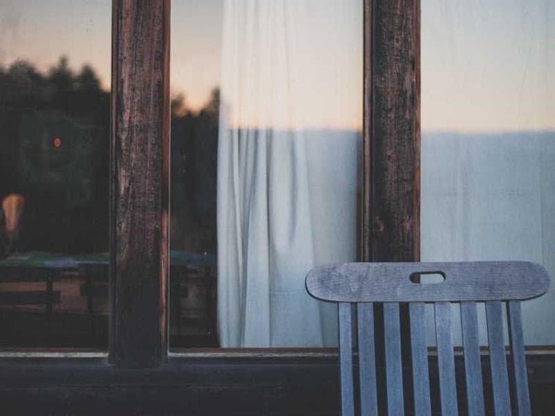 Rest area — soft music and dim lighting for anxious pups