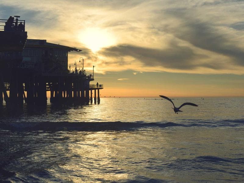 Welcome to Paws Inn — our bright and airy reception area