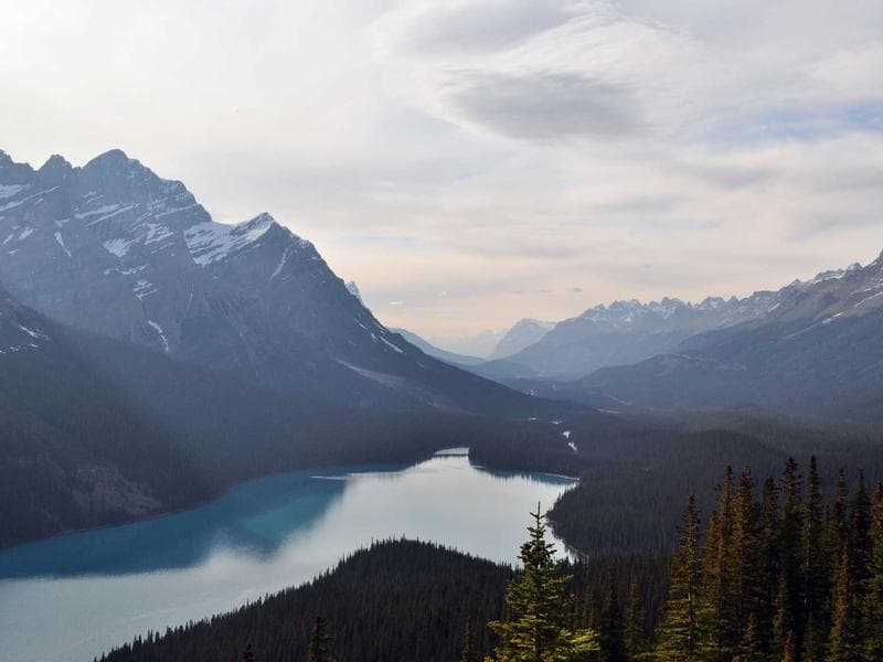 Feeding time — every dog gets their own bowl and diet plan